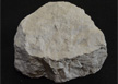 야마구치현 현석(석탄석(암석))