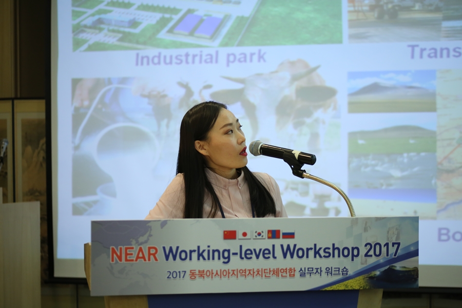 NEAR Working-level Workshop 2017 - 5